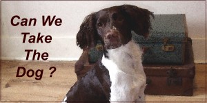 can we take the dog