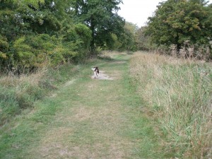 Meg on the canal walk