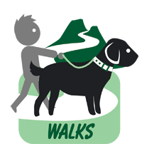 walks