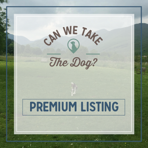 premium listing